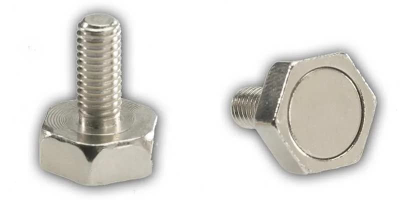 Türmagnet